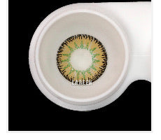 Fashion Contacts